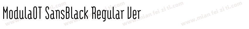 ModulaOT SansBlack Regular Version字体转换